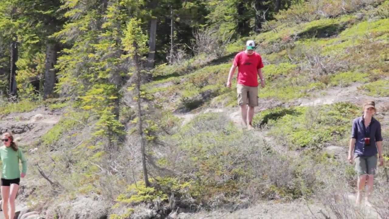 The Big Bend Jasper National Park YouTube