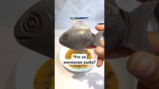 Что за железная рыба? #амитеш #технологии