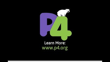 Introduction to P4