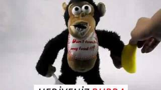 Crazy Monkey - Çılgın Maymun_www.hediyenizburda.com.flv