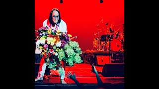 RR VV Presents The Todd Fandom Gratitude Show 2020