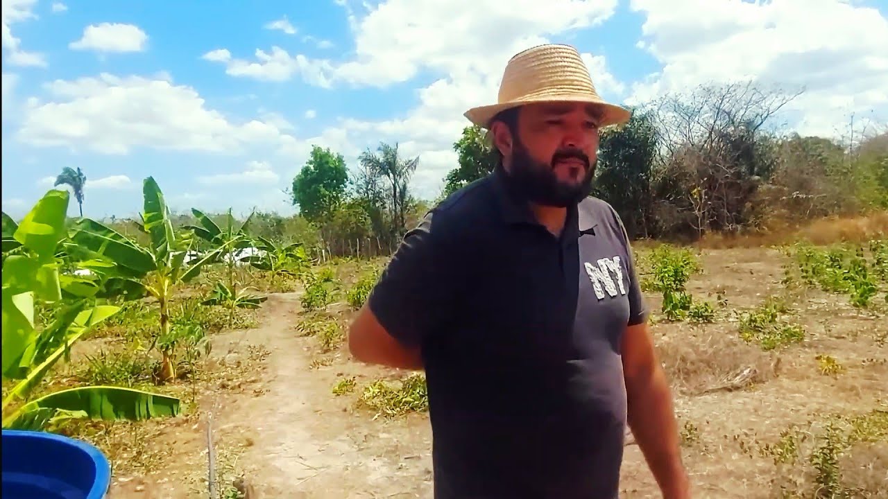 VENDE SE ESTA PROPRIEDADE DE 43 HECTARES PROXIMO DO JACARÉ DA VERMELHA