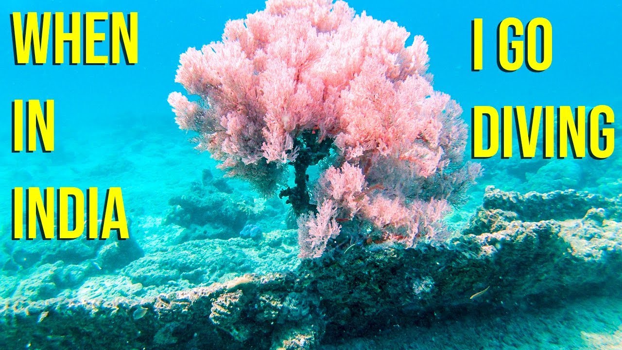 Diving Holiday in India Travel Vlog Krishnendu Vlog 167 YouTube