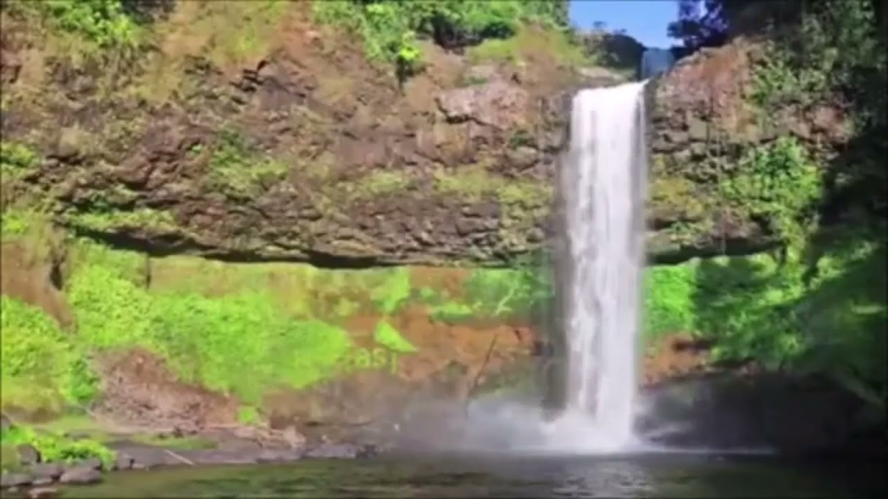 [AS BUMP] Cook Classics - Lovely Ladies [SLOVAKIA VERSION]