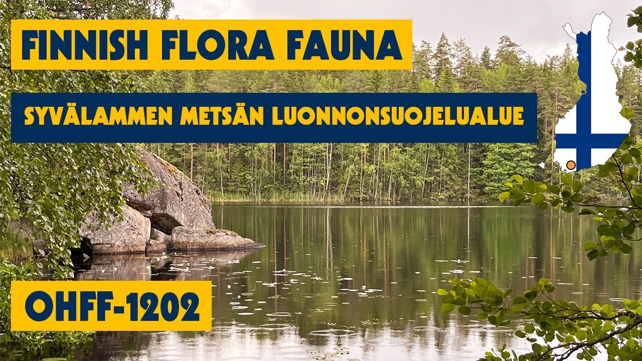 13/07/2023 - Finnish Flora & Fauna - OHFF-1202 - Syvälammen Metsän Luonnonsuojelualue