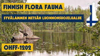 13/07/2023 - Finnish Flora & Fauna - OHFF-1202 - Syvälammen Metsän Luonnonsuojelualue