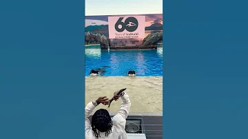 First Rapper To Shoot A 3 In A Whales Mouth 