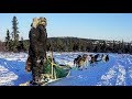 Navy SEAL Dog Musher Jeff Reid of Frozen Trident Kennel PT 1