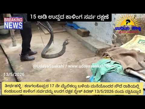thirthahalli | ತೀರ್ಥಹಳ್ಳಿ | 15 ಅಡಿ ಉದ್ದದ ಕಾಳಿಂಗ ಸರ್ಪ ರಕ್ಷಣೆ..! |