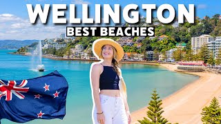 Wellington's Beaches Look Like THIS!? (we visit them all) New Zealand