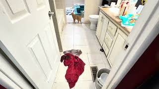 Investors paradise!! Fixer Upper in Las Vegas! Home for sale Value Add items for profits $$$