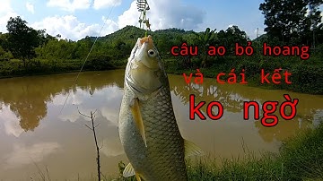 Câu Cá Ao Bỏ Hoang Và Cái Kết Không ngờ | câu lăng xê |
