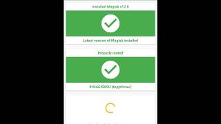 How to pass SafetyNet on Magisk [Android] - NeetoDX