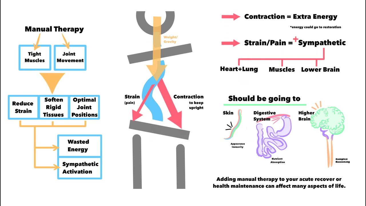The Unseen Benefits of Manual Therapy Physiotherapy, Chiropractic