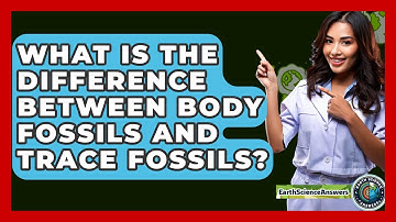 What Is the Difference Between Body Fossils and Trace Fossils? - Earth Science Answers