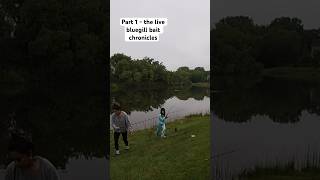 Pt. 1 Catching Live Bluegill To Catch Bass - A New Series