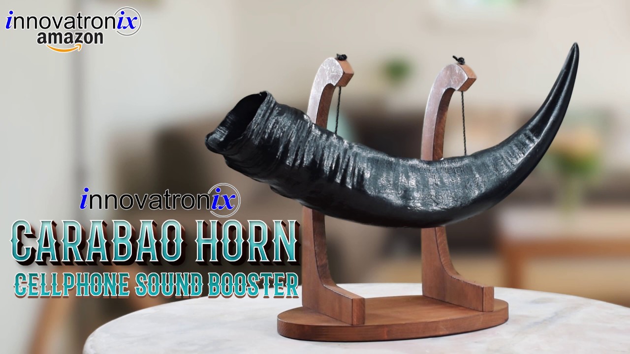 Innovatronix Real Carabao Horn Sound Booster and Home Decor YouTube