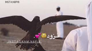 ركود ي ساحة ركود $تصميم حمااااس