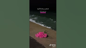 سورة الجمعة بصوت الشيخ عمر الفقيه الحجا جي 😍