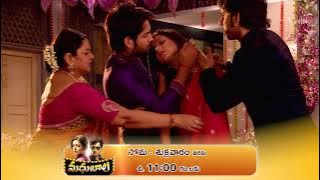 'Madhubala'Promo | 12th February 2024  | mon-fri @ 11:00 am only on ETV Plus Channel