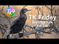 TK FRIDAY (Bird's Eye View) FULL EDIT