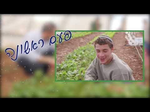 להצליח בפעם הראשונה בישיבת חיצים 