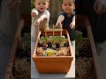 Strawberry Planter Timelapse 🍓👶 #Shorts #Gardening #Satisfying