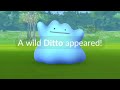 How to get Shiny Ditto on Oh? Quest? Shiny Mewtwo with Psytrike is back