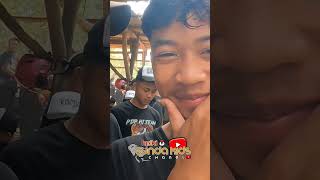 Padepokan Hj Team Di Pamidangan Cikawati dogar hpdki domba dombagarut dombaindonesia dombaadu