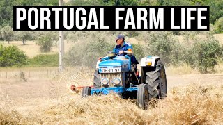 Old School Farming in Portugal | PORTUGAL FARM LIFE