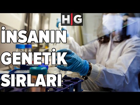 Video: İnsanlar biyosferin bir parçası mı?