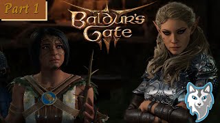 Baldur&#39;s Gate 3 | Game Play part 1