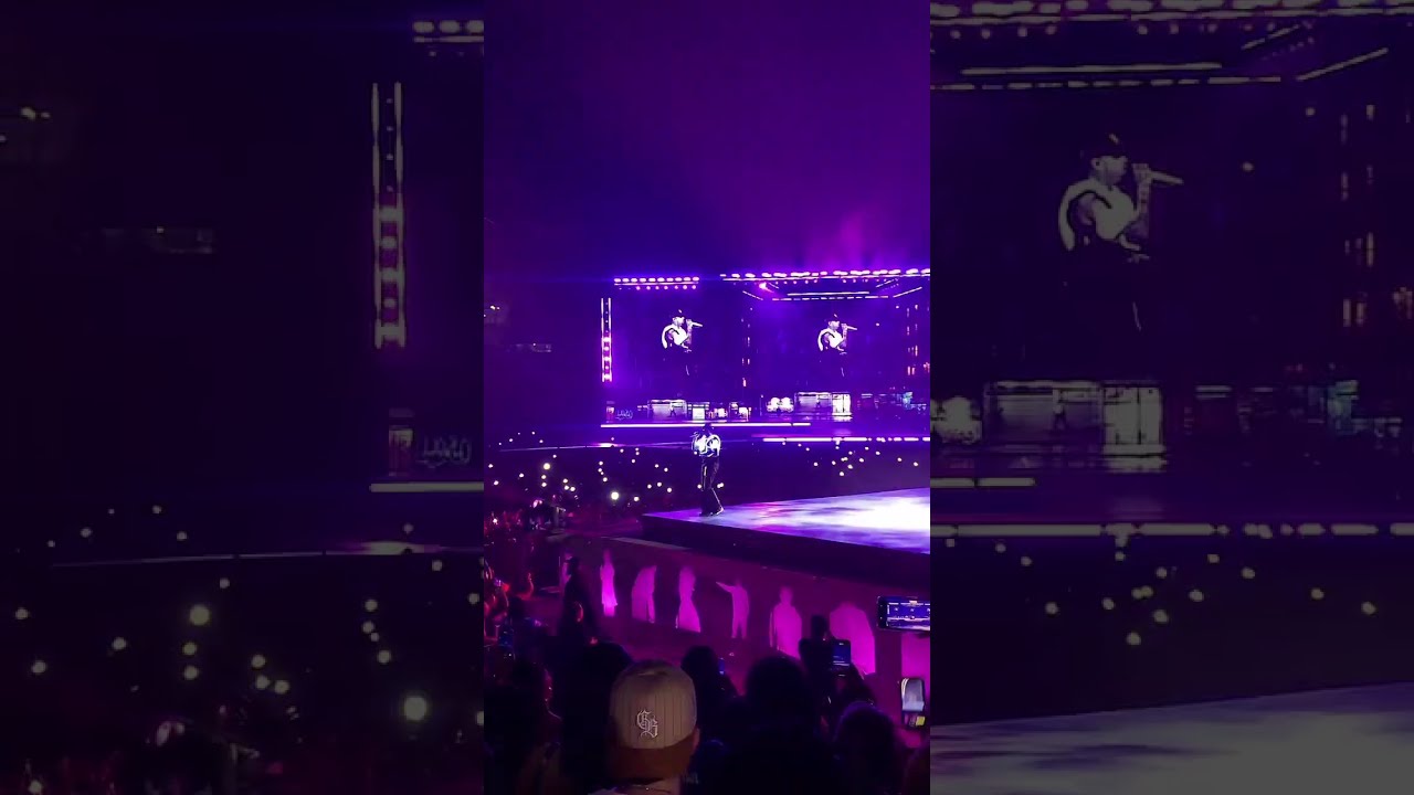 Chris+Brown+Concert+💃🏾 Breezy Bowl XX - Detroit Edition 2025