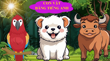 Dạy Bé Nói Con Vật | Bé Học Con Vật | Cá Mập, Con Vẹt, Lợn Rừng, Con Rùa | Ruby TV