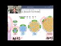 Chylomicrons HDL LDL And Lpa 