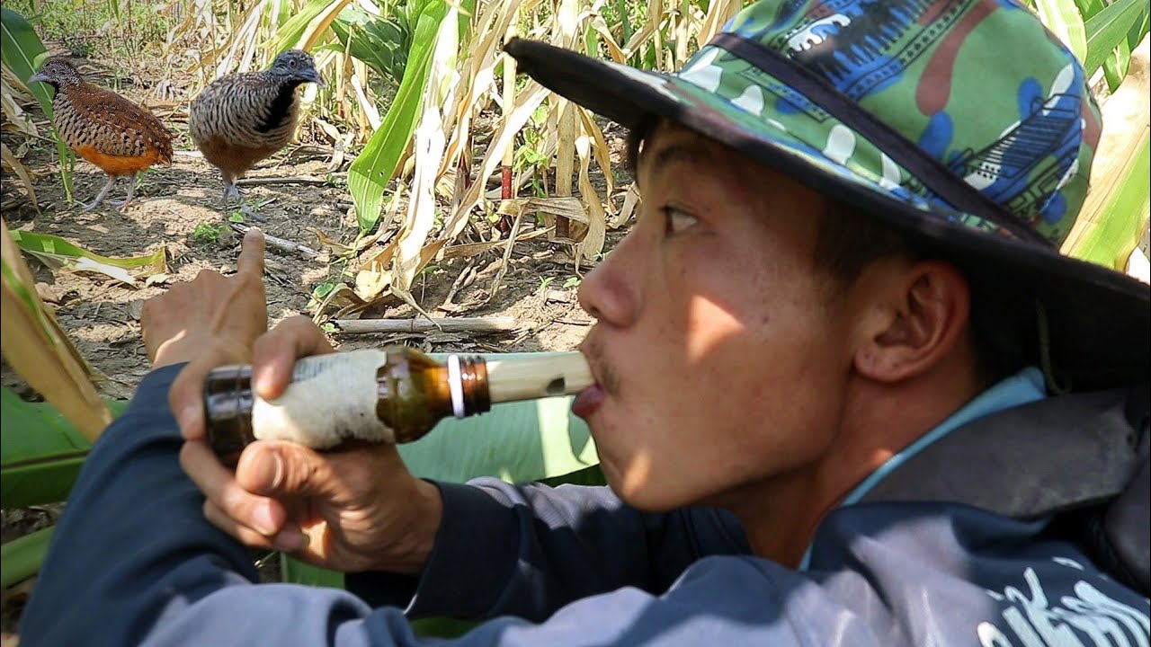 ทำอุปกรณ์ต่อนกคุ้ม หาอยู่หากิน