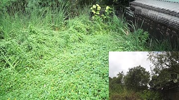 First test on RCtimer gimbal