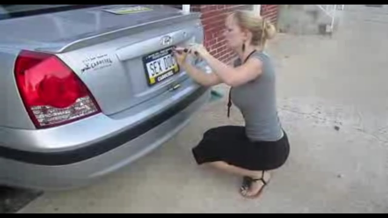 Ep. 18 SEX DOC License Plate APPROVED A Day in the Life of a Sexologist YouTube