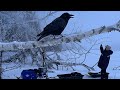 А КАК НАЧИНАЛАСЬ ЭТА ПОЕЗДКА… чуть не оставил мотобукс в поле. 