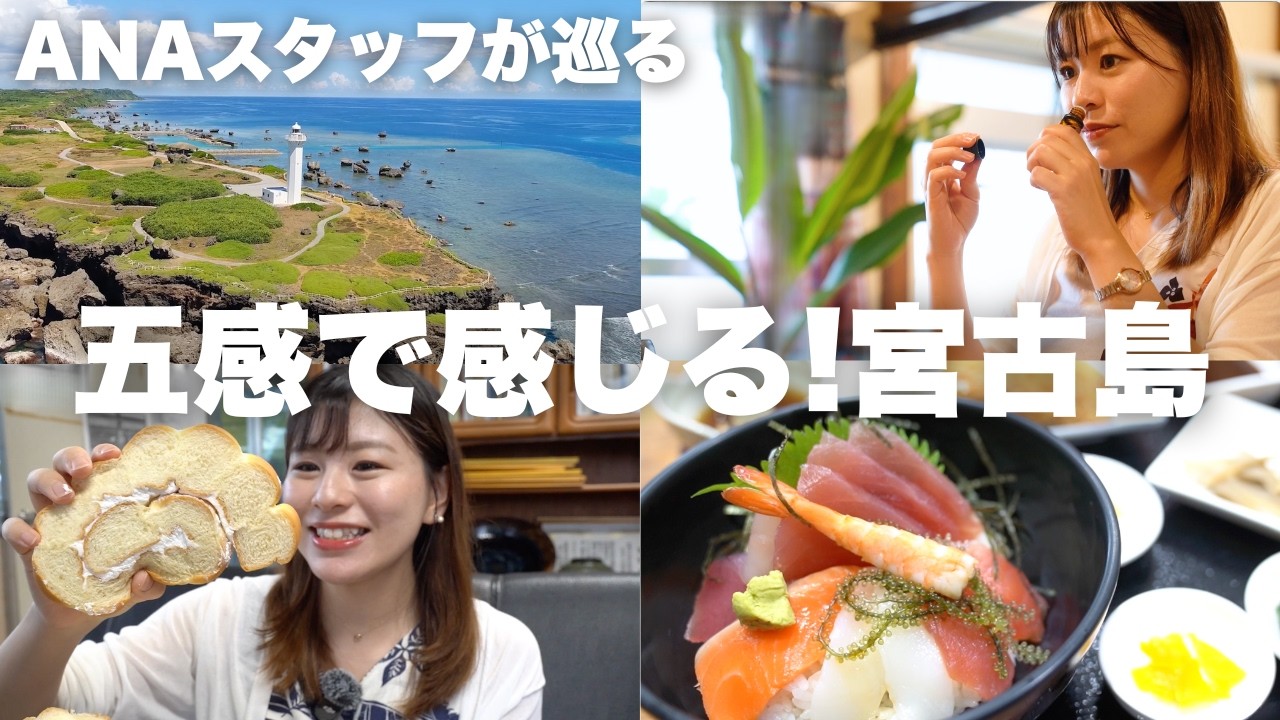 宮古島は冬も楽しい！ゆったり癒やされる1泊2日旅👀【巨大パン＆天然記念物にも遭遇🐴】