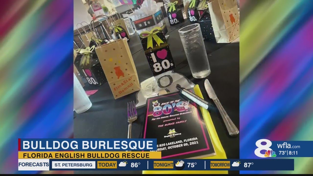 Florida English Bulldog Rescue raises 50k at annual Bulldog Burlesque