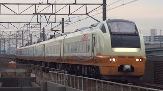 E653系1000番台「いなほ」塗装 スターライト舞浜号 京葉線に初入線