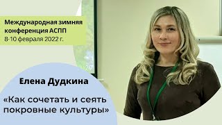 Как сочетать и сеять покровные культуры. Елена Дудкина, 