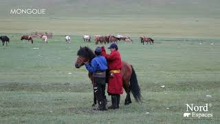 Dressage des chevaux en Mongolie