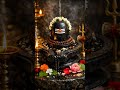 ఓం నమశ్శివాయ 🙏#lordshiva #vemulawada #kashivishwanath #kashi #shiva #shivaparvati #viralshorts