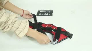 Personalized Reflective Adjustable Pet Harness Vest For Small Large Dog ID Custom Patch