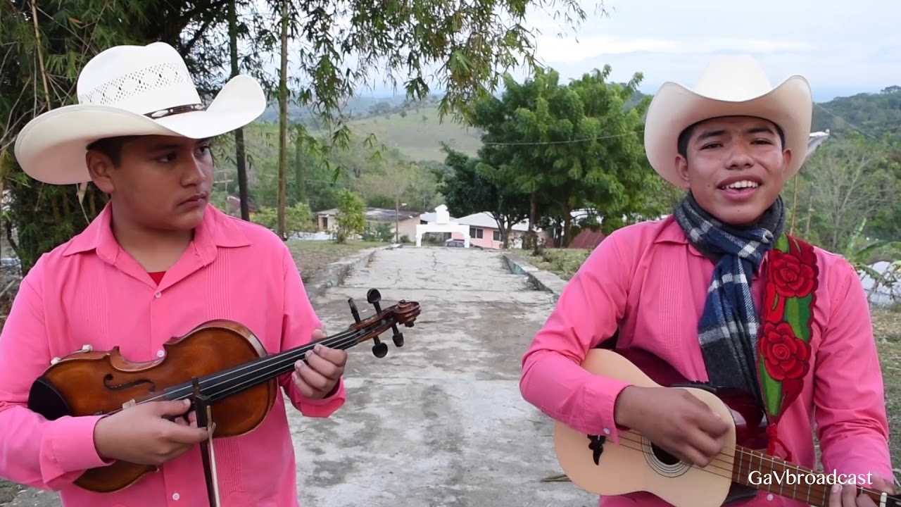 Puros Huapangos Por el Trío Temple Huasteco