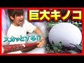 【爆発】巨大キノコをバットで思い切り打った結果…