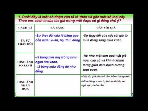 Lớp 4, Tuần 23, ngày 23/2/2021, TLV: Luyện tập miêu tả các bộ phận của cây cối