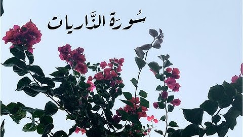 سورة الذاريات كاملة  القارئ اسلام صبحي